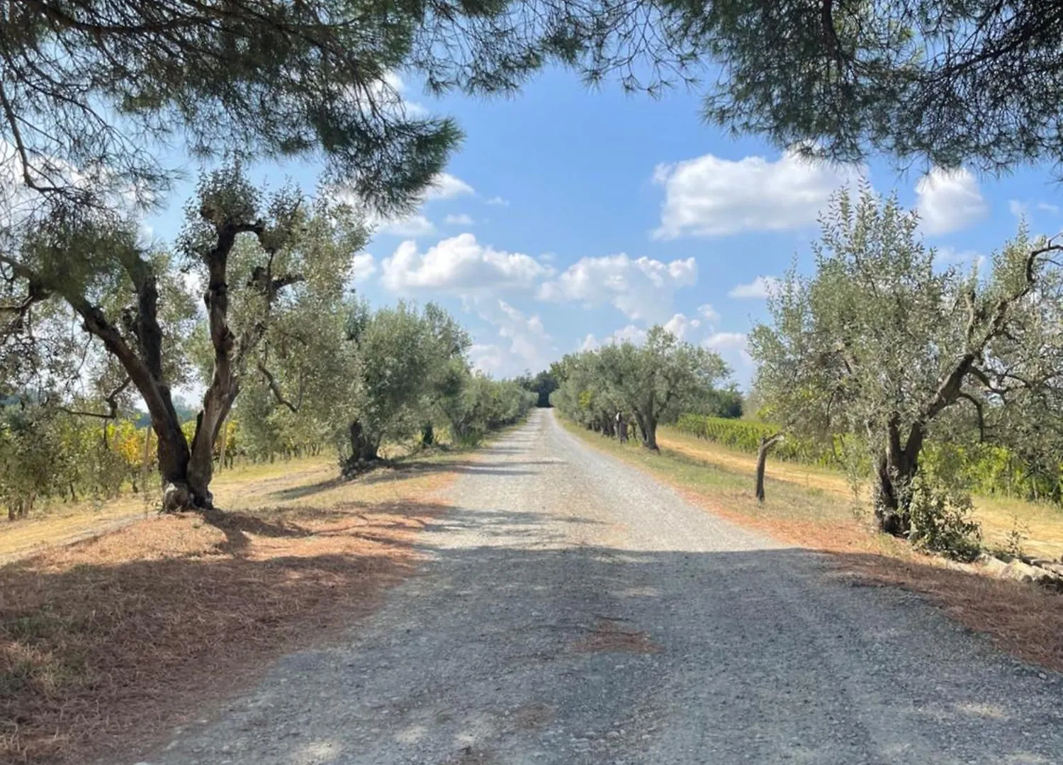 Castellare Di Tonda Hotel Montaione Holiday park